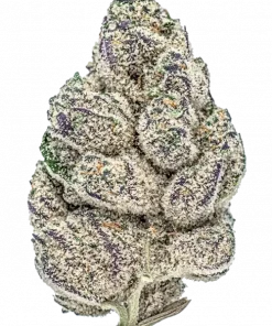 Platinum Purple Kush, tatlı ve menekşe aromalarıyla öne çıkan Indica baskın bir türdür. Yüksek THC içeriğiyle rahatlatıcı etkilerini keşfedin ve genetik yapısını görüntüleyin.