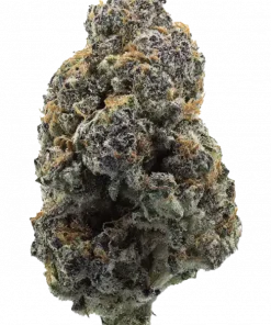 Platinum Runtz, turunçgil aromaları ve yüksek THC içeriğiyle bilinen Indica dominant bir türdür. Depresyon ve stresi azaltmaya yardımcı olabilir. Özelliklerini keşfedin.