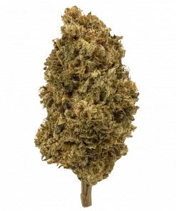 Platinum Scout v2, tatlı ve yakıtımsı aromalarıyla öne çıkan güçlü bir Indica türüdür. THC ile derin rahatlama sağlar. Genetik yapısını keşfedin.