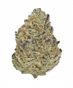 Platinum Gushers, vanilya ve fındık aromalarıyla öne çıkan dengeli bir türdür. Yüksek THC içeriğiyle rahatlatıcı etkiler sunar. Genetik yapısını keşfedin.