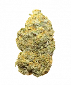 Platinum Valley, çam ve narenciye aromalarıyla öne çıkan Indica dominant bir türdür. Öforik etkileri ve yüksek THC içeriğiyle keşfedin.