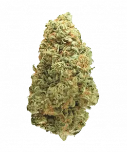 Platinumz, mango ve ananas aromalarıyla öne çıkan güçlü bir Indica türüdür. THC içeriğiyle dikkat çeker. Bu eşsiz türün genetik yapısını keşfedin.