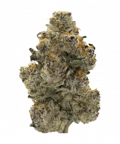 Platinum Zoap, tatlı vanilya aroması ve yüksek THC içeriğiyle öne çıkan Indica dominant bir türdür. Anksiyete ve stres için ideal. Genetik yapısını keşfedin.
