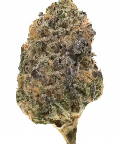 Plum Mochi, böğürtlen aromalı ve rahatlatıcı etkiye sahip indica dominant bir türdür. Stres ve uykusuzluğa iyi gelir. Genetik yapısını keşfedin.