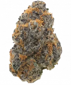 Plum Mochi Horchata, vanilya aroması ve dengeli etkileriyle öne çıkan Indica baskın bir türdür. Zihinsel ve fiziksel etkilerini keşfedin ve detaylıca görüntüleyin.