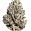Pluto Kush, kimyasal limon aroması ve yüksek THC içeriğiyle öne çıkan Indica dominant bir türdür. Nadir genetik yapısını ve potansiyelini keşfedin.