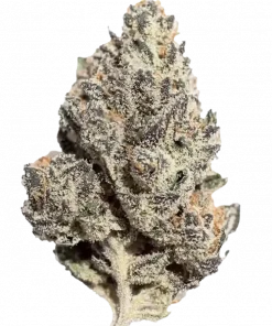 Pluto Kush, kimyasal limon aroması ve yüksek THC içeriğiyle öne çıkan Indica dominant bir türdür. Nadir genetik yapısını ve potansiyelini keşfedin.