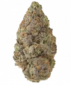 PNW Cherries, tatlı ve ekşi aromalarıyla öne çıkan dengeli bir hibrit türdür. Odaklanma ve rahatlama sağlayan etkileriyle keşfedin.