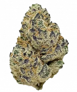 Polar Pop, tropikal aromaları ve 'luk THC oranıyla öne çıkan Sativa baskın bir türdür. Enerjik etkileriyle bilinen bu özel türü keşfedin.