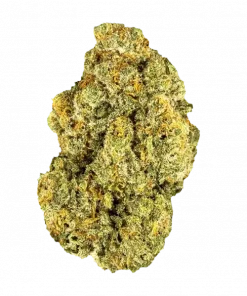 Pomelo Punch, tropikal aromaları ve 'lük THC oranıyla öne çıkan Indica baskın bir türdür. Yaratıcılığı artıran bu eşsiz türü keşfedin.