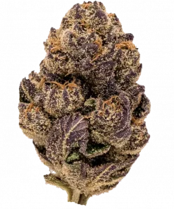 Pop Cherry, orman meyvesi aromaları ve yüksek THC içeriğiyle öne çıkan Indica baskın bir türdür. Genetik yapısını ve potansiyel faydalarını keşfedin.