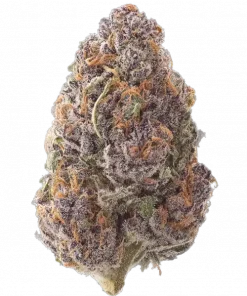 Pop Rockets, tropikal meyve aromaları ve dengeli etkisiyle öne çıkan bir hibrit türdür. Yaratıcı ve keyifli deneyim için genetik yapısını keşfedin.