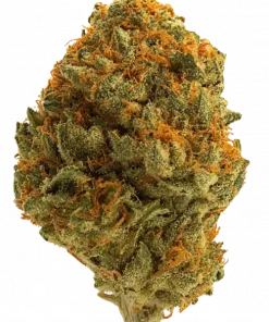 Pop Tart, kimyasal limon aroması ve çilek notalarıyla öne çıkan Indica dominant bir türdür. Yüksek CBD içeriğiyle dikkat çeken bu türün genetik yapısını keşfedin.