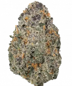 Potent Potassium, muz aromalı ve rahatlatıcı etkisiyle bilinen indica dominant bir türdür. Stresi azaltan bu özel türü keşfedin ve benzersiz deneyimini görüntüleyin.