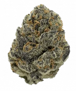 Pound Cake Auto™, tereyağlı aroması ve yüksek THC içeriğiyle öne çıkan Sativa baskın bir türdür. Enerjik etkilerini ve genetik yapısını keşfedin.