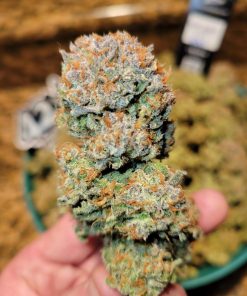 Pound Cake ™ Auto Fem Esrar Tohumu (Fast Buds)