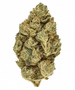 Powdered Donuts, vanilya ve fındık aromalarıyla öne çıkan Indica dominant bir türdür. Derin rahatlama ve uyku getirir. Bu eşsiz türü keşfedin.