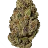 Powduh, tatlı toprak aromaları ve yüksek THC içeriğiyle bilinen Indica dominant bir türdür. Yoğun rahatlama ve öfori sunar. Etkilerini keşfedin.