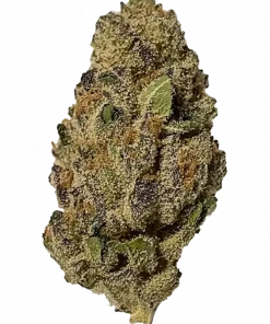 Powduh, tatlı toprak aromaları ve yüksek THC içeriğiyle bilinen Indica dominant bir türdür. Yoğun rahatlama ve öfori sunar. Etkilerini keşfedin.