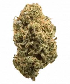 Power, tatlı ve yakıtımsı aromaları ile öne çıkan Indica baskın bir türdür. Yüksek THC içeriği sayesinde yaratıcılığı artırır ve rahatlama sağlar. Özelliklerini keşfedin.