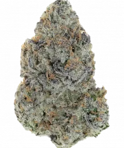 Power Flower, yakıtımsı ve narenciye aromalarıyla öne çıkan Sativa dominant bir türdür. Depresyon ve stres için ideal. Genetik yapısını keşfedin.