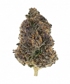 Power Ztone, tatlı narenciye aromaları ve dengeli etkisiyle öne çıkan bir hibrit türdür. Yaratıcılığı artıran bu türün genetik yapısını keşfedin.