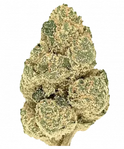 Pressure, turunçgil aromaları ve dengeli genetiğiyle öne çıkan bir hibrit türdür. İltihap ve stres için ideal. Bu eşsiz türü keşfedin.