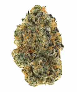 Priority Smoke, tatlı tropikal aromaları ve yüksek THC içeriğiyle öne çıkan Sativa baskın bir türdür. Yaratıcılığı artıran etkilerini keşfedin ve hemen inceleyin.