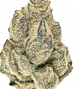 Private Reserve, yakıtımsı tatlar ve yüksek THC içeriğiyle bilinen dengeli bir hybrid türüdür. Chemdawg ve OG Kush genetiğini keşfedin ve etkilerini görüntüleyin.