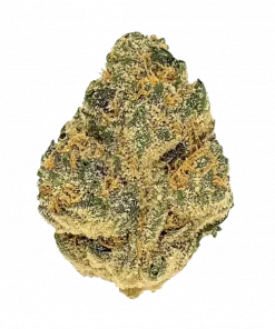 Project 4516, çiçeksi aroması ve yüksek THC içeriğiyle bilinen Indica baskın bir türdür. Spazm ve ağrı tedavisinde etkilidir. Özelliklerini keşfedin.