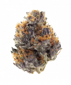 Pucker Up, yakıtımsı ve tatlı aromaları ile öne çıkan dengeli bir hibrit türdür. Solfire Gardens imzalı bu türün genetik yapısını keşfedin ve etkilerini görüntüleyin.