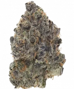 Pudding Pop, tatlı kurabiye aroması ve rahatlatıcı etkileriyle bilinen indica baskın bir türdür. Yüksek reçine içeriğiyle öne çıkar. Özelliklerini keşfedin.