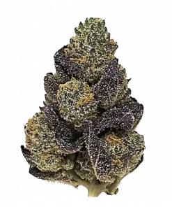 Puddles, tatlı kurabiye aroması ve yüksek THC içeriğiyle öne çıkan Indica baskın bir türdür. Derin rahatlama ve mutluluk için genetik yapısını keşfedin.