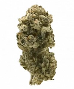 Puffinz, fındık ve vanilya aromalarıyla öne çıkan, THC içeren Indica dominant bir türdür. Yaratıcılığı artıran bu özel türü keşfedin.
