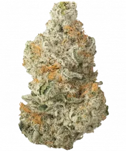 Pulp Friction, tatlı muz aromaları ve 'ya varan THC içeriğiyle öne çıkan indica dominant bir türdür. Yaratıcı etkilerini keşfedin ve hemen görüntüleyin.