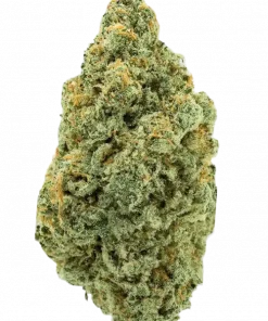 Pumpkin Spice, tatlı elma aroması ve dengeli etkisiyle öne çıkan hibrit bir türdür. Anksiyete ve yorgunluğa iyi gelir. Genetik yapısını keşfedin.