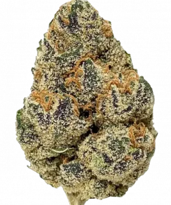 Punch Breath, tropikal tatlı aroması ve rahatlatıcı etkisiyle bilinen Indica baskın bir türdür. Uykusuzluk ve iştahsızlık için ideal. Özelliklerini keşfedin.