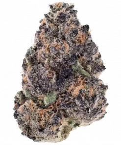 Punchberry Cookies RBX, tatlı çilek aromasıyla öne çıkan güçlü bir hibrit türdür. Derin rahatlama ve mutluluk için ideal. Genetik yapısını keşfedin.