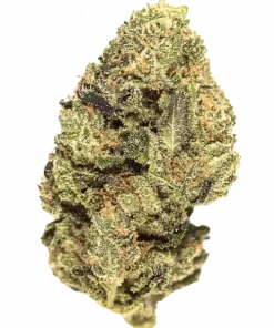 Pure Michigan, yakıtımsı aroması ve yüksek THC içeriğiyle bilinen Indica dominant bir türdür. Depresyon ve stresi azaltıcı etkilerini keşfedin.