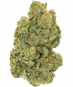 Pure Power Plant, keskin kokulu aroması ve yüksek verimiyle bilinen sativa baskın bir türdür. Ağrı ve stresi azaltan etkilerini keşfedin ve hemen görüntüleyin.