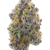 Purple Afghani, toprak aroması ve yüksek THC içeriğiyle öne çıkan bir Indica türüdür. Rahatlatıcı etkileri ve genetik yapısını keşfedin.