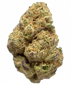 Purple Apricot, tatlı orman meyveleri aroması ve rahatlatıcı etkisiyle bilinen Indica baskın bir türdür. Depresyon ve ağrı için ideal. Özelliklerini keşfedin.