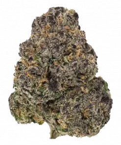 Purple Banana Berries, tatlı meyve ve muz aromalarıyla öne çıkan dengeli bir hibrit türdür. Yaratıcılığı artıran etkileri keşfetmek için hemen görüntüleyin.