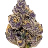 Purple Bubba, üzüm aroması ve yüksek THC içeriğiyle bilinen güçlü bir Indica türüdür. Derin rahatlama ve mutluluk için Purple Bubba'yı keşfedin.