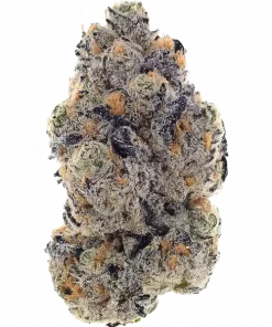 Purple Bud, böğürtlen reçeli aroması ve rahatlatıcı etkisiyle bilinen indica dominant bir türdür. Kolay yetiştirme özelliklerini keşfedin ve hemen görüntüleyin.