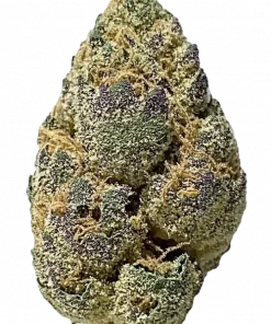 Purple Cake Batter, tatlı meyve ve yakıtımsı kokularıyla öne çıkan Indica dominant bir türdür. Yüksek THC içeriğiyle dikkat çeker. Genetik yapısını keşfedin.