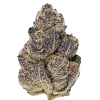 Purple Candy, bal ve üzüm aromalı, dengeli bir hibrit türdür. Mutluluk veren ve rahatlatıcı etkileriyle öne çıkar. Genetik yapısını keşfedin.