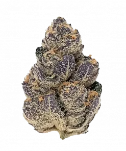 Purple Candy, bal ve üzüm aromalı, dengeli bir hibrit türdür. Mutluluk veren ve rahatlatıcı etkileriyle öne çıkar. Genetik yapısını keşfedin.