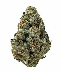 Purple Cheese, tatlı meyve aroması ve rahatlatıcı etkileriyle bilinen indica baskın bir türdür. Benzersiz genetik yapısını keşfedin ve faydalarını görüntüleyin.