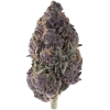 Purple Chocolope, ekşi ve odunsu notalarıyla öne çıkan Sativa baskın bir türdür. Yüksek THC içeriğiyle enerji ve yaratıcılık sağlar. Özelliklerini keşfedin.